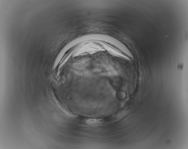 X0000111900465200908241007