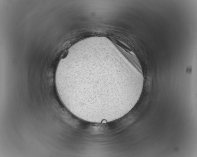 X0000111900466200908241007