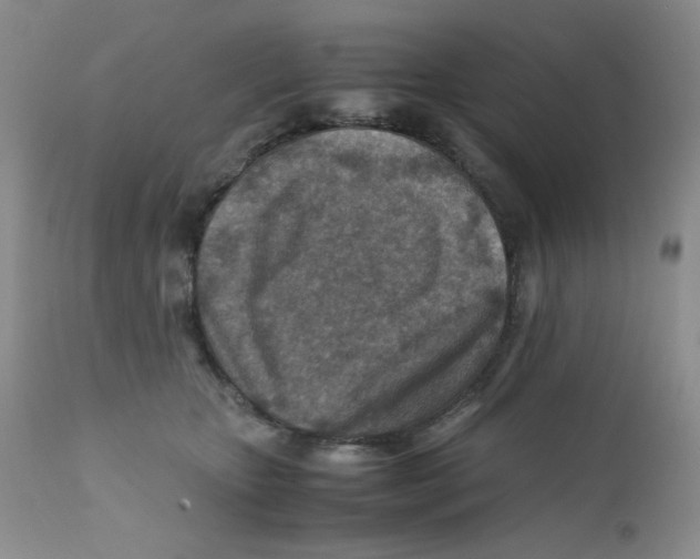 X0000111900467200908241007