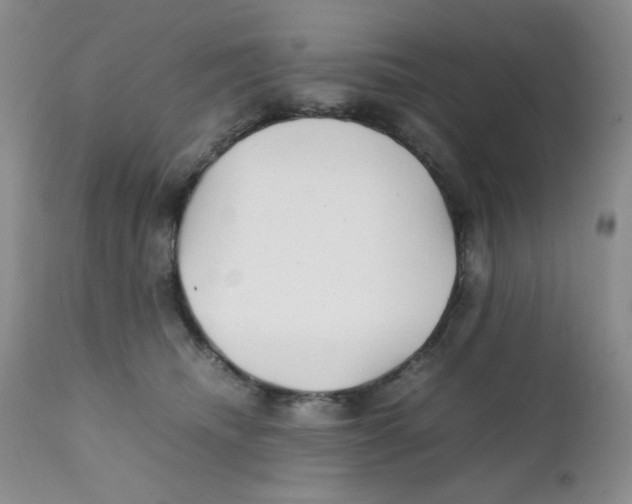 X0000111900468200908241007