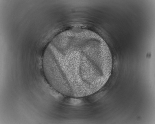 X0000111900469200908241007