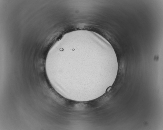 X0000111900470200908241007