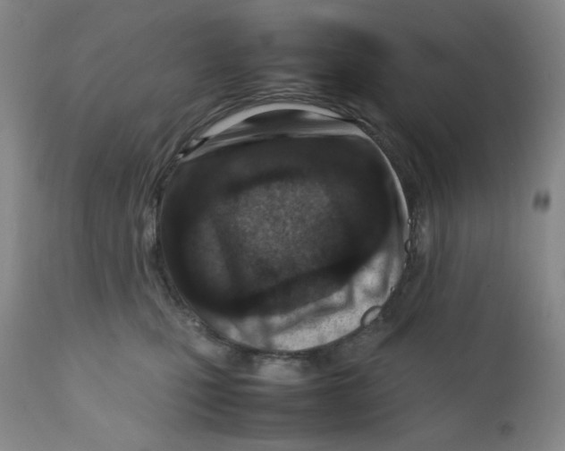 X0000111900471200908241007