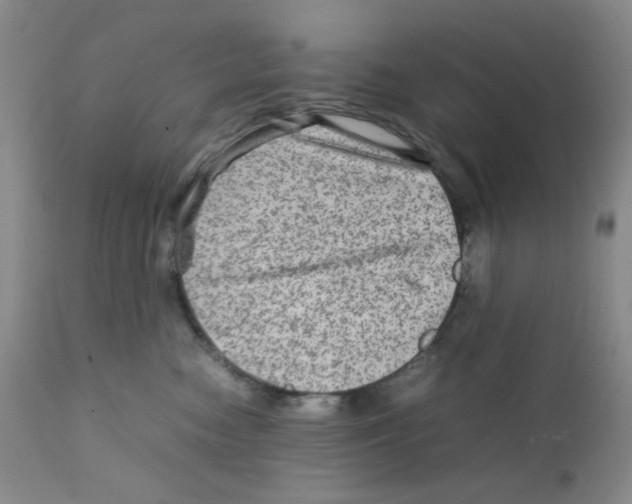 X0000111900474200908241007