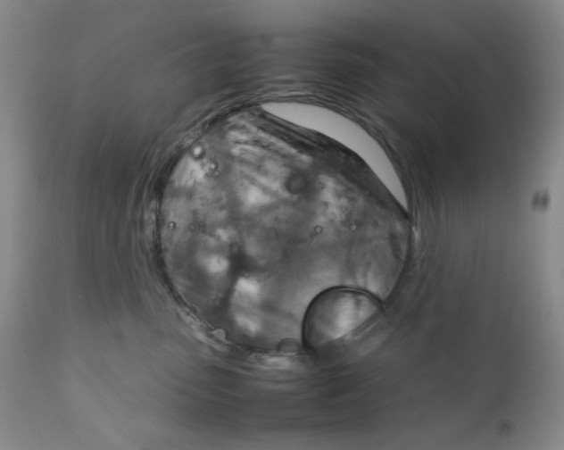 X0000111900475200908241007