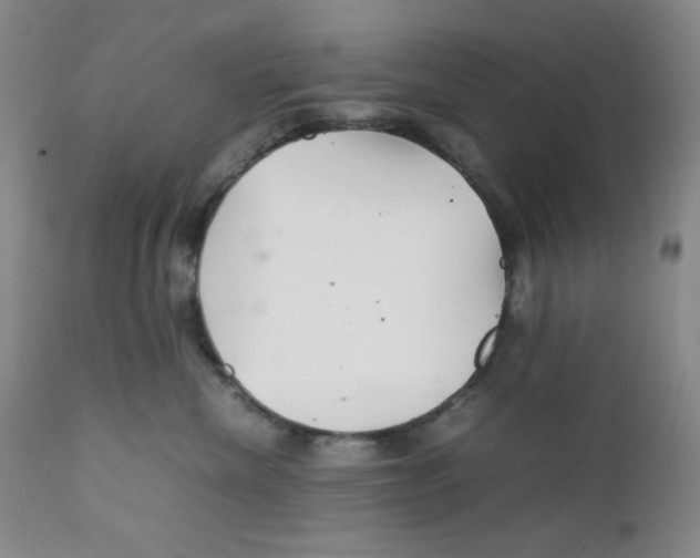 X0000111900476200908241007