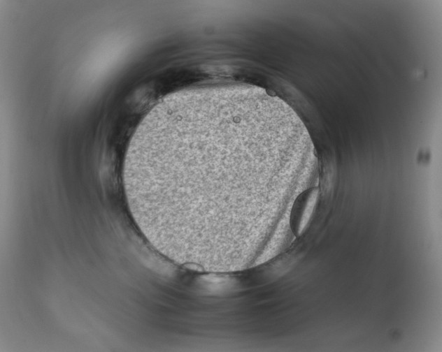 X0000111900477200908241007