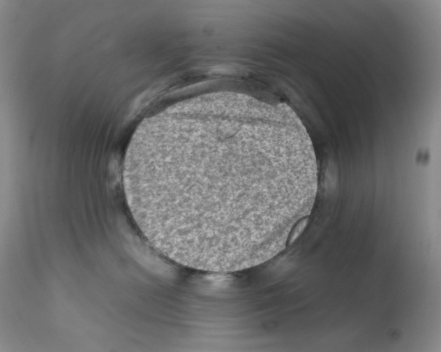 X0000111900478200908241007