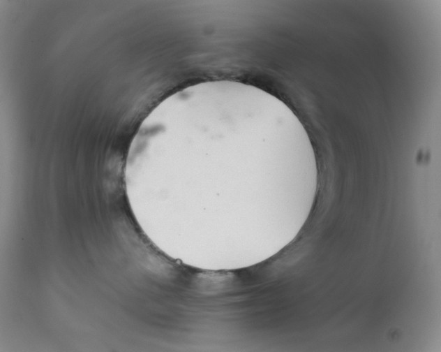 X0000111900480200908241007