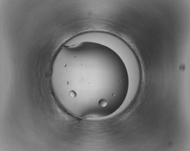 X0000111900481200908241006