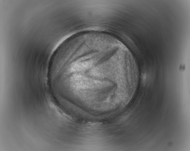 X0000111900484200908241006