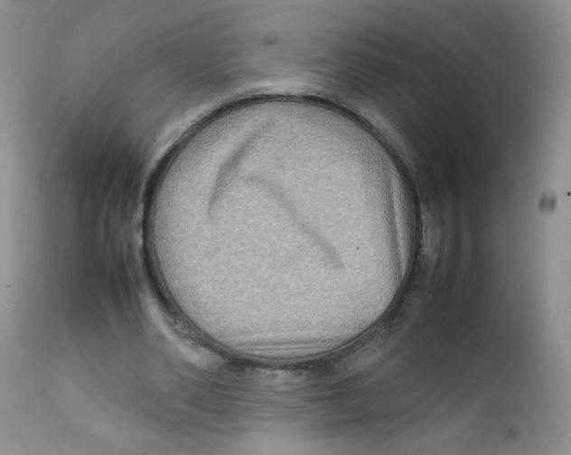 X0000111900486200908241006