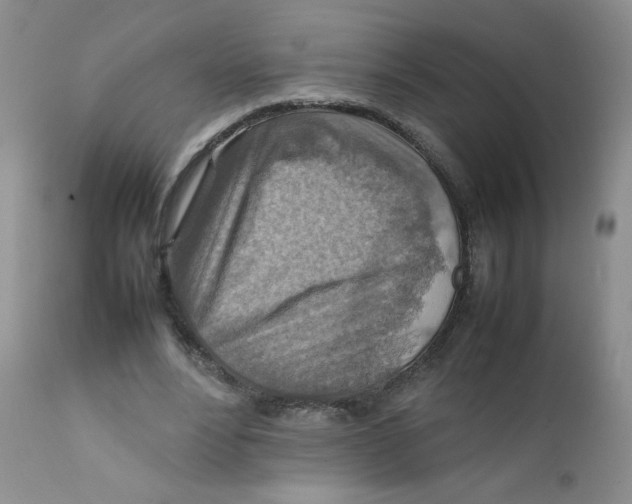 X0000111900488200908241006