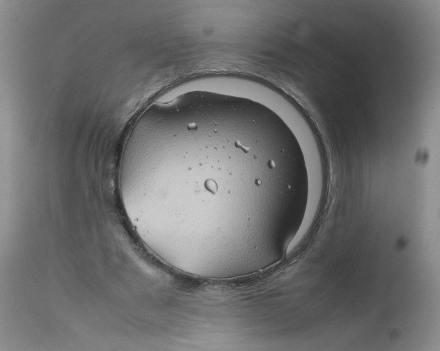 X0000111900489200908241006