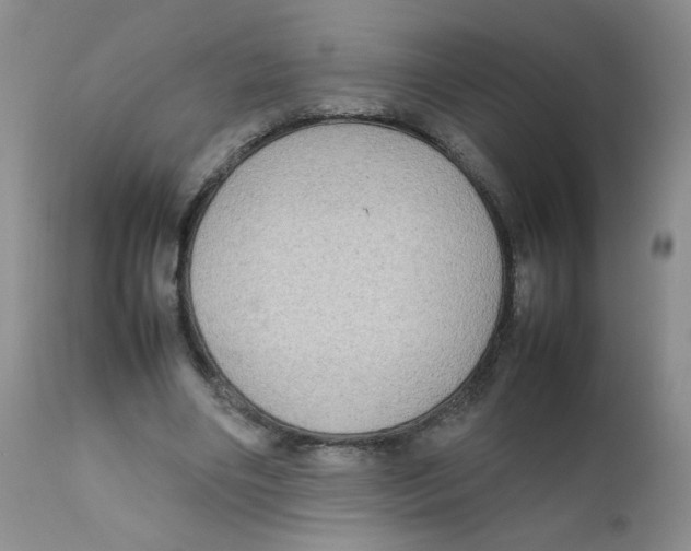 X0000111900490200908241006