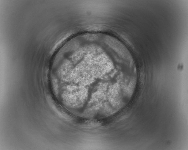 X0000111900491200908241006