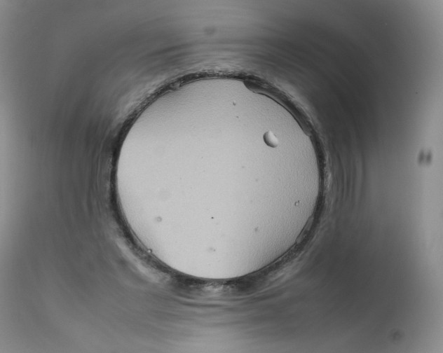 X0000111900493200908241006