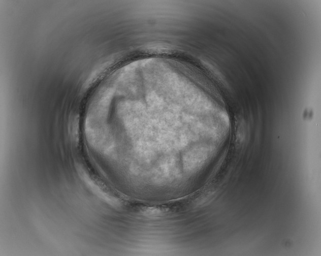 X0000111900494200908241006