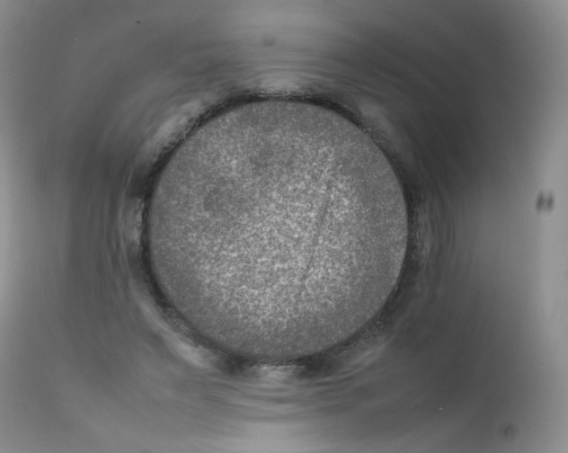 X0000111900495200908241006