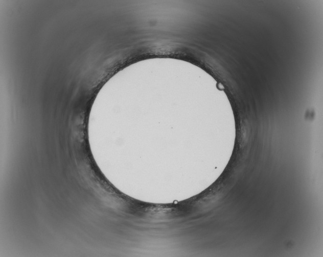 X0000111900497200908241006