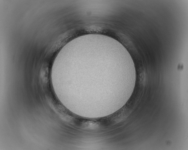 X0000111900498200908241006