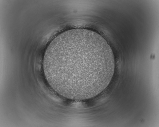 X0000111900499200908241006