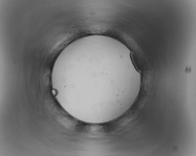 X0000111900501200908241006