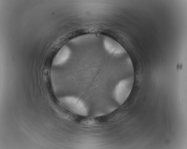 X0000111900503200908241006