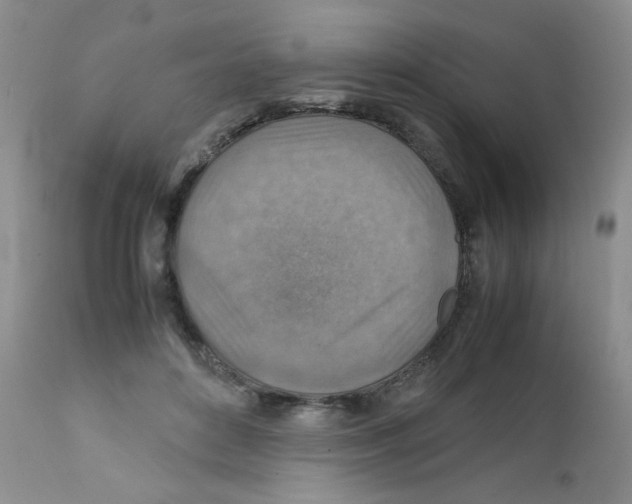 X0000111900504200908241006