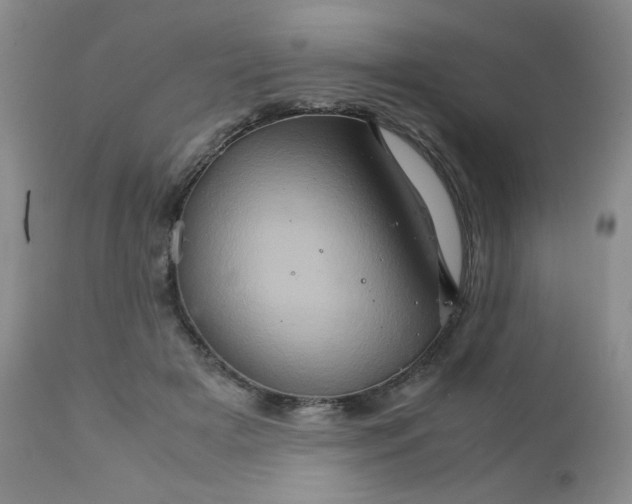 X0000111900505200908241006