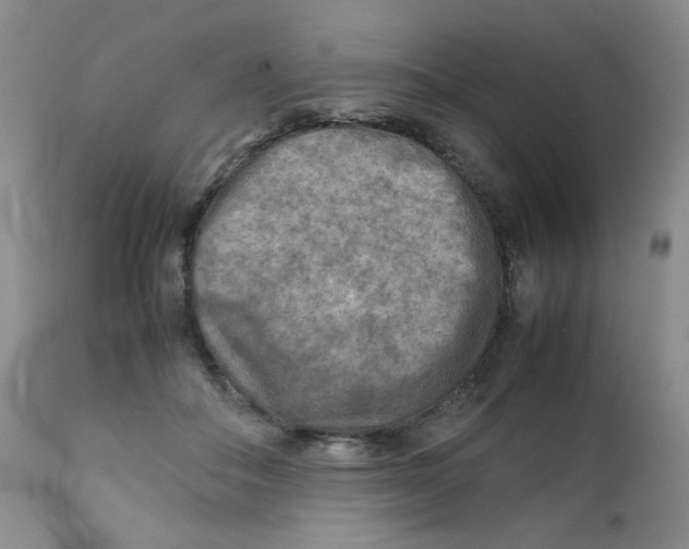 X0000111900506200908241006