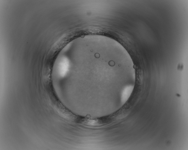 X0000111900507200908241006