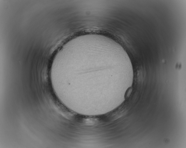 X0000111900508200908241006