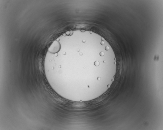 X0000111900510200908241006