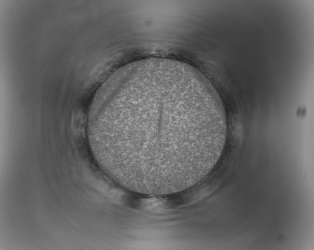 X0000111900511200908241006