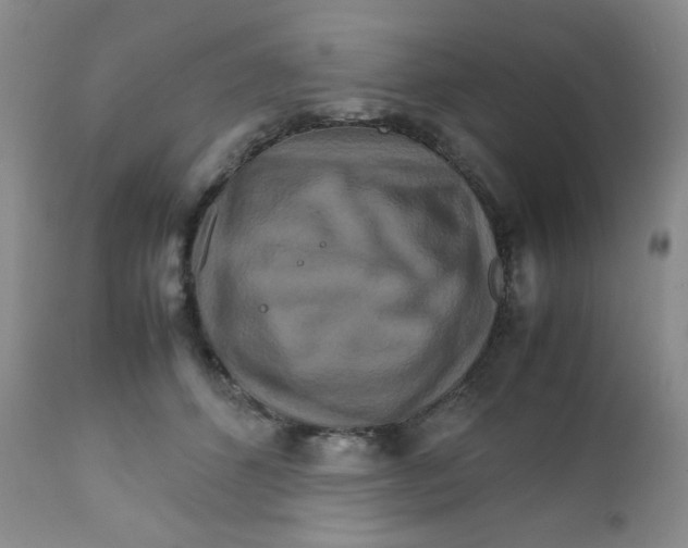 X0000111900512200908241006