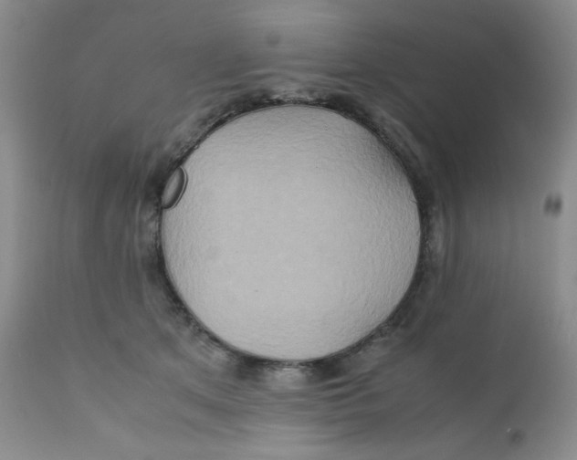 X0000111900513200908241006