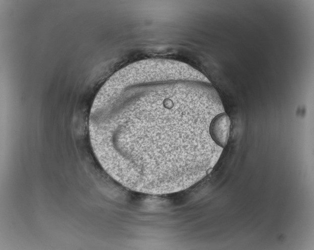 X0000111900515200908241006