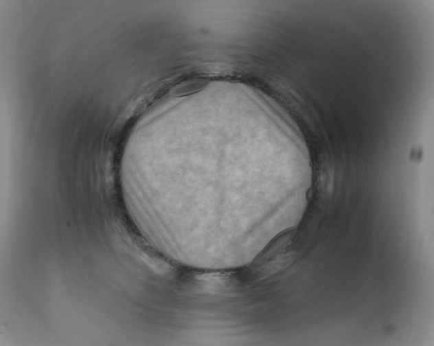 X0000111900516200908241006