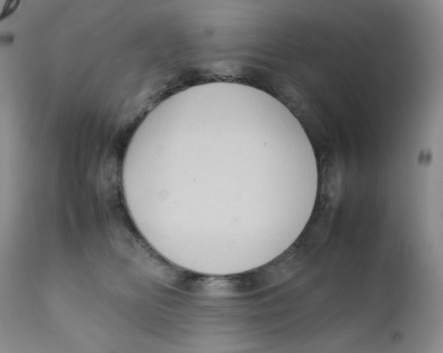 X0000111900518200908241006