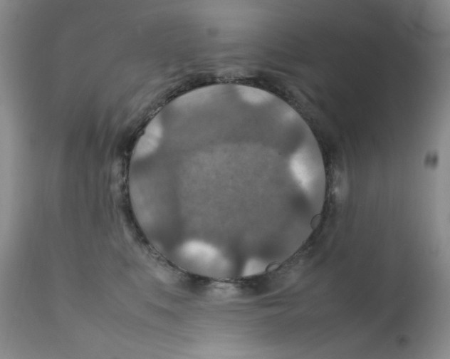 X0000111900519200908241006