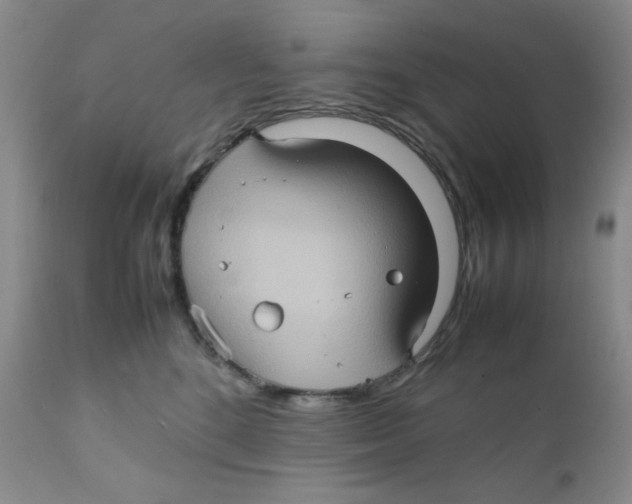 X0000111900520200908241006