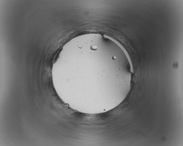 X0000111900521200908241006