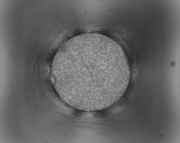 X0000111900523200908241005