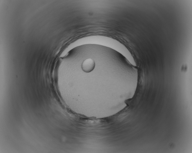 X0000111900524200908241005