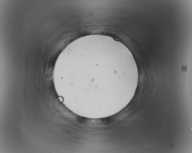 X0000111900525200908241005