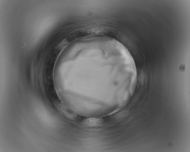 X0000111900526200908241005