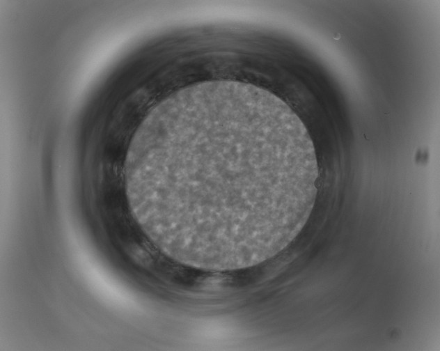 X0000111900527200908241005