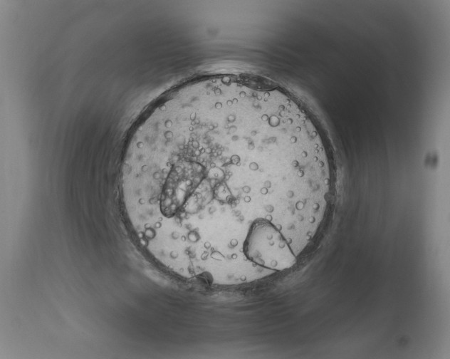 X0000111900529200908241005