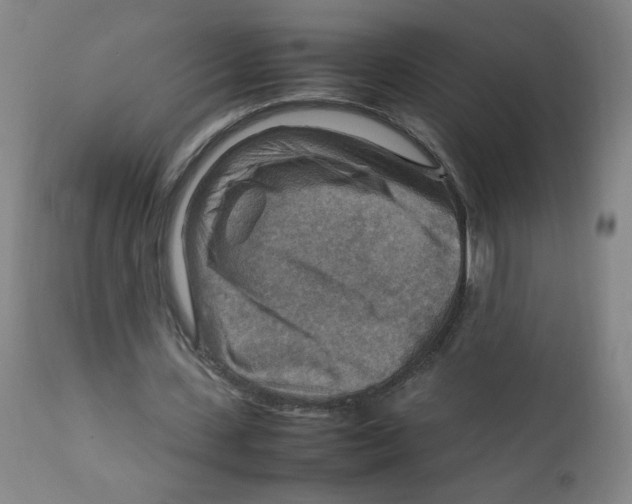 X0000111900531200908241005